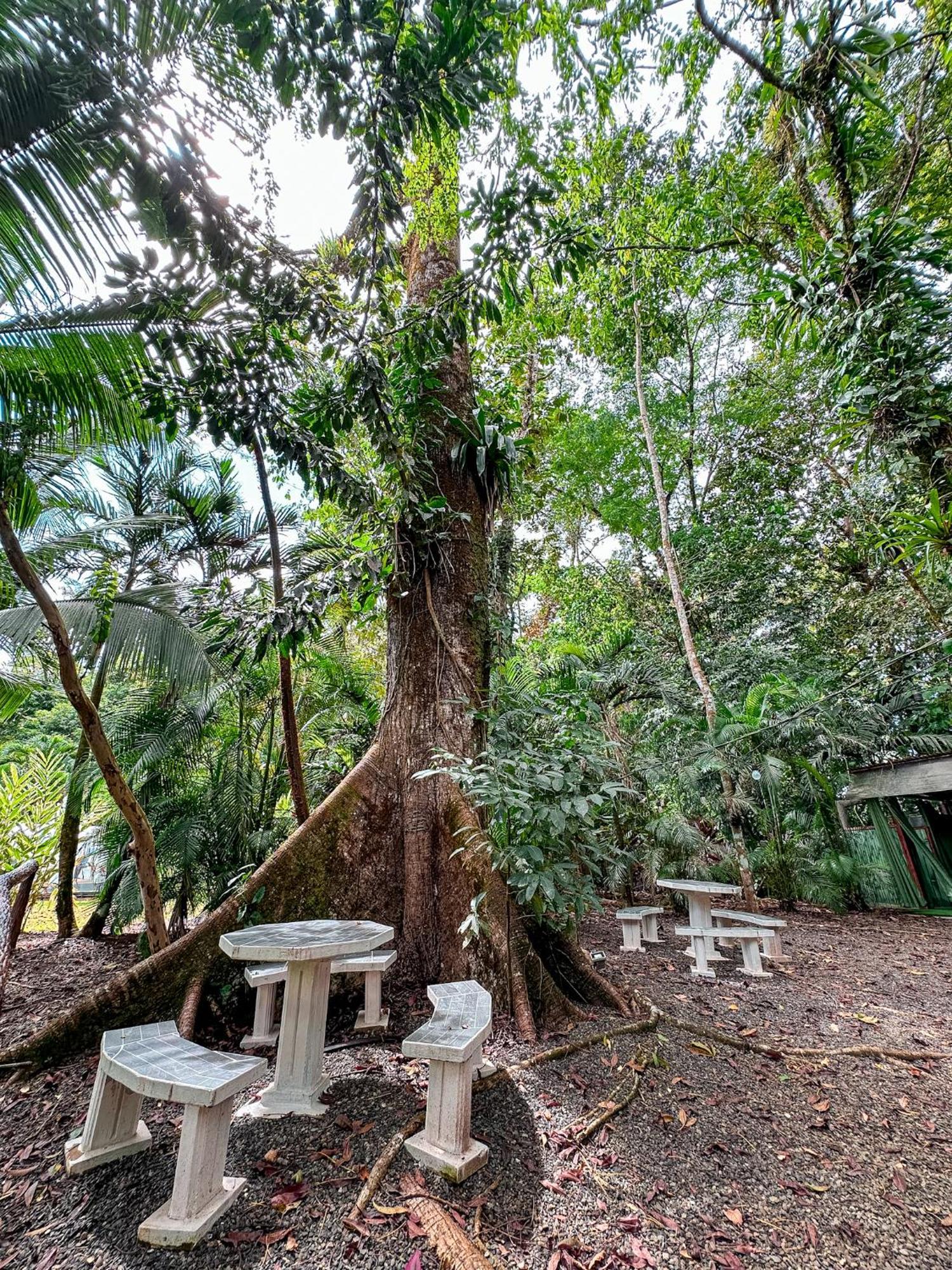 Cabanas Rio Escondido En La Fortuna Extérieur photo
