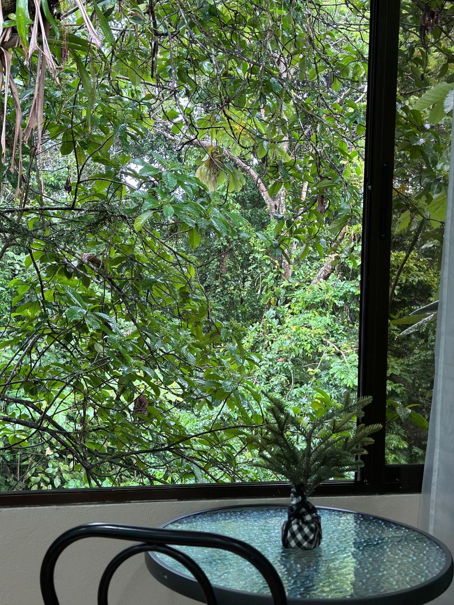 Cabanas Rio Escondido En La Fortuna Extérieur photo